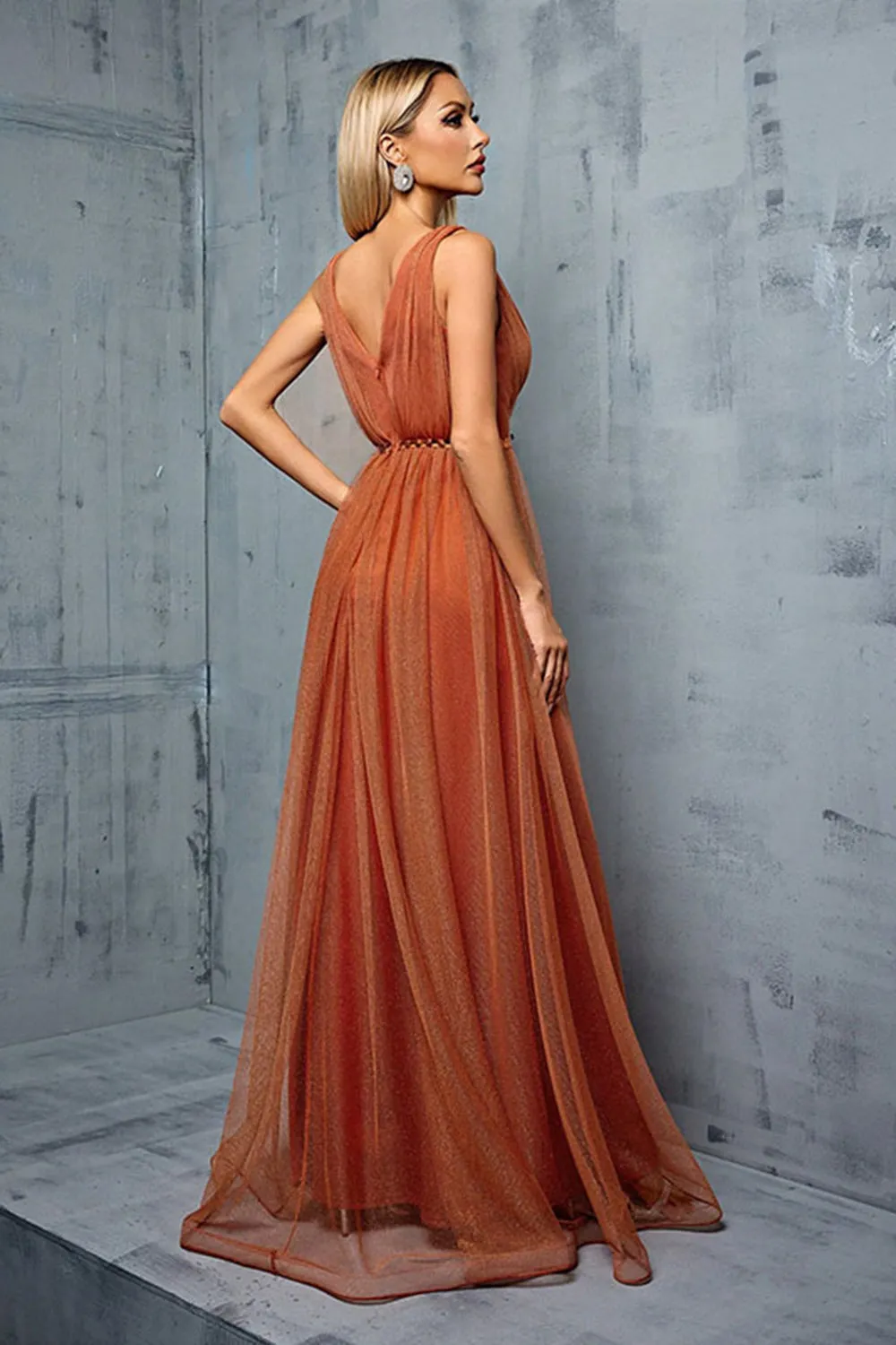 Brown A Line V Neck Spaghetti Straps Tulle Maxi Dress